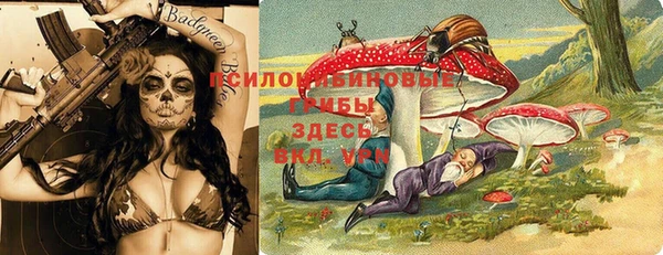 трава Заволжск