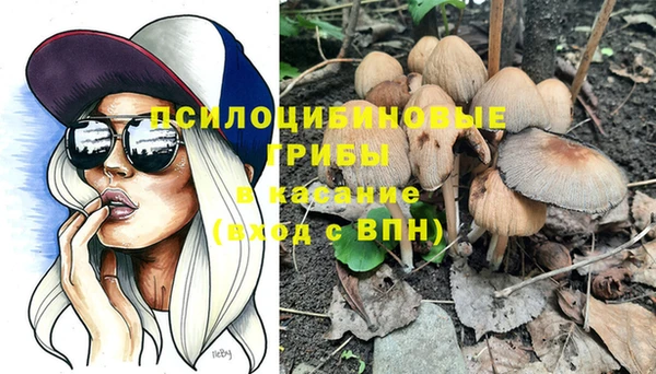трава Заволжск