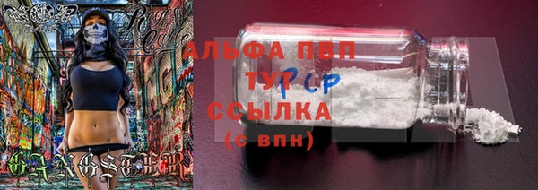 трава Заволжск
