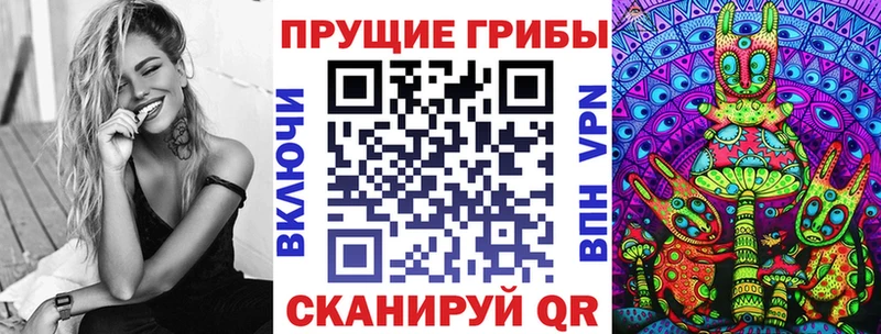 Купить закладки  Каменногорск  Псилоцибиновые грибы GOLDEN TEACHER 